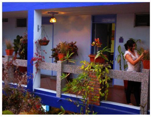 Suitel 522 Eco Hostel Mazatlán Exterior foto